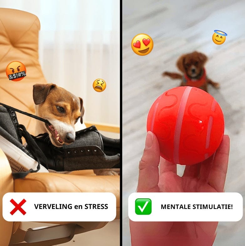 MotionMate™ – interactieve hondenbal