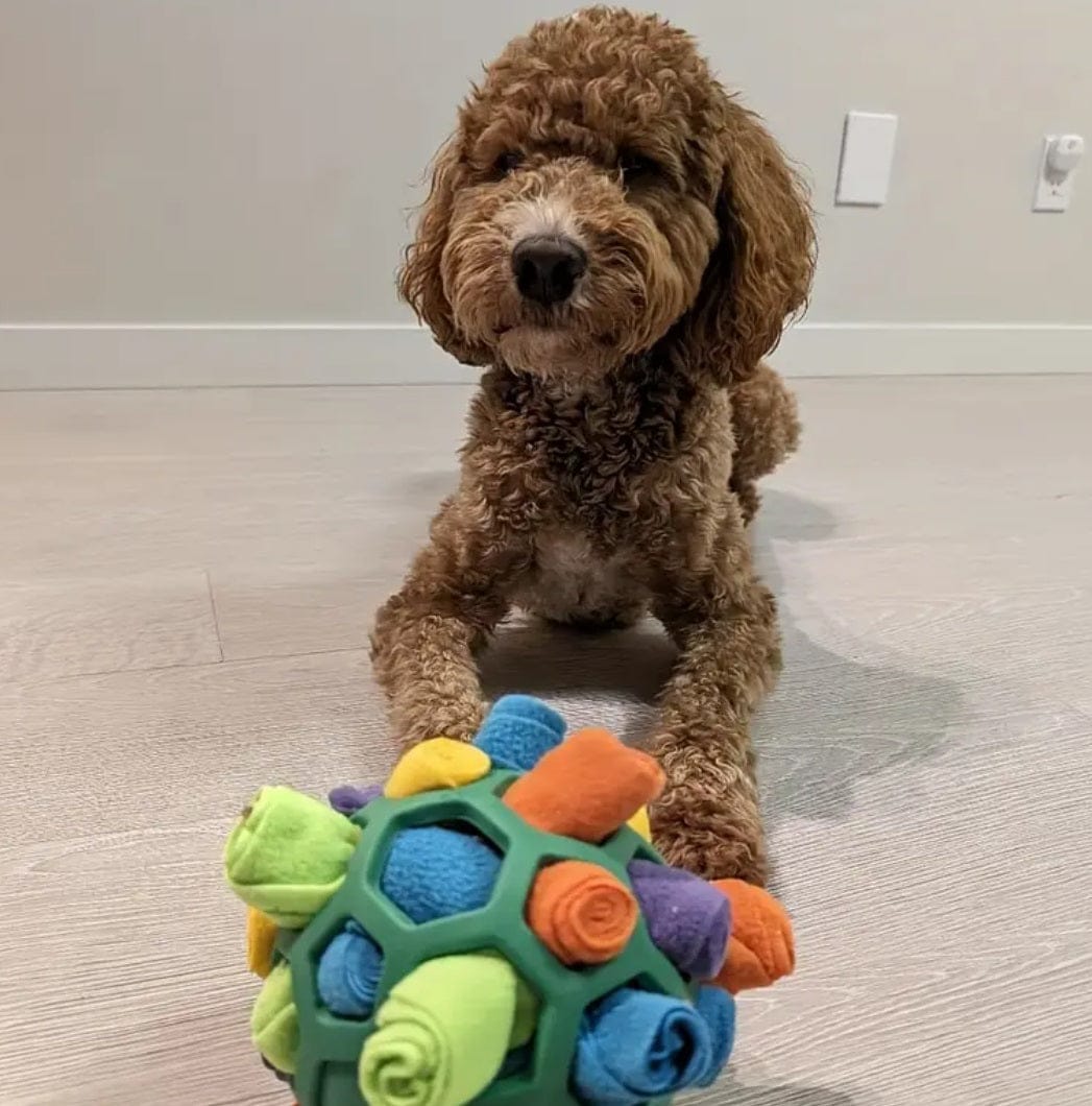 FluffyMate™ - Activiteitenbal voor honden