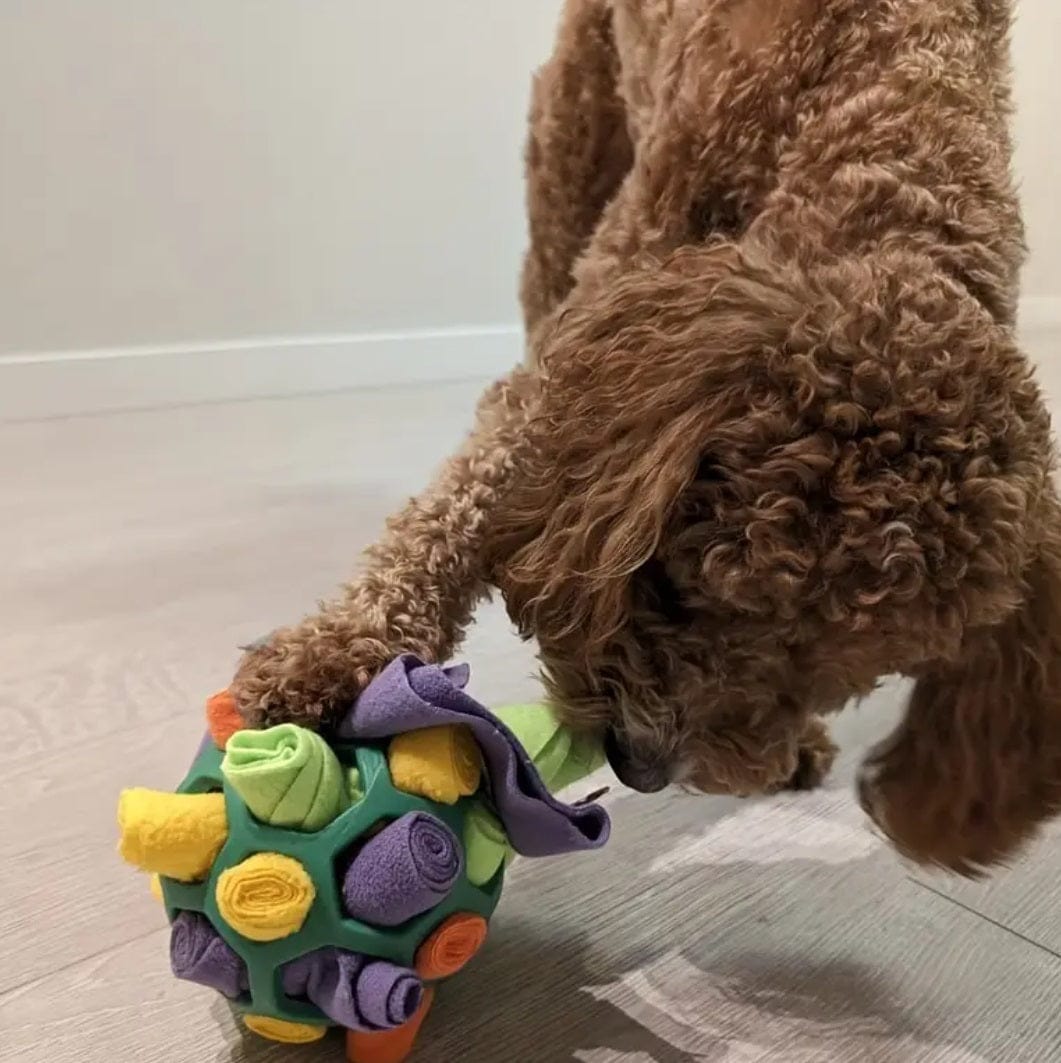 FluffyMate™ - Activiteitenbal voor honden