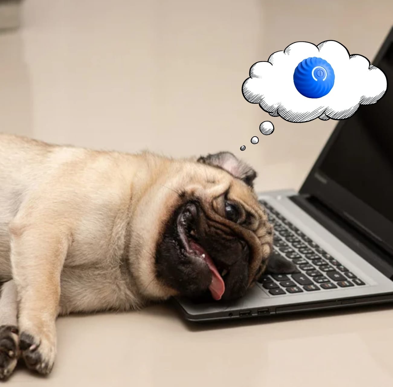 MotionMate™ Light – interactieve hondenbal